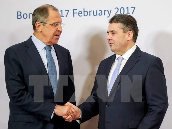 Russland veröffentlicht Waffenruhe in der Ukraine - ảnh 1